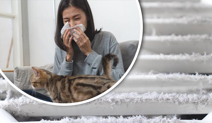 Allergy issue due to dirty air vent
