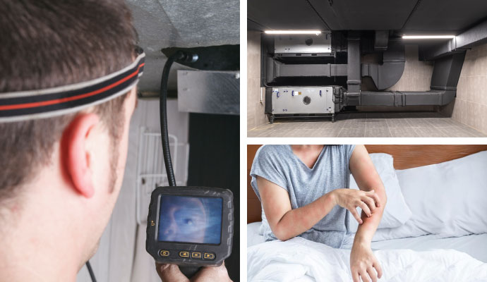 Collage of air duct inspection, air system, and allergen symptoms