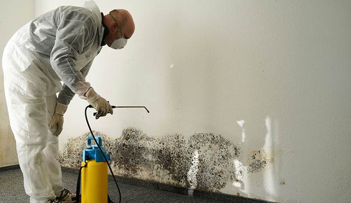 Expert mold decontamination and remediation process. Professional mold decontamination service