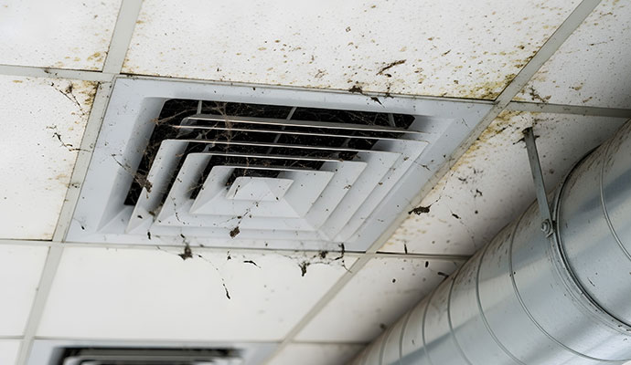 moldy-commercial-vent