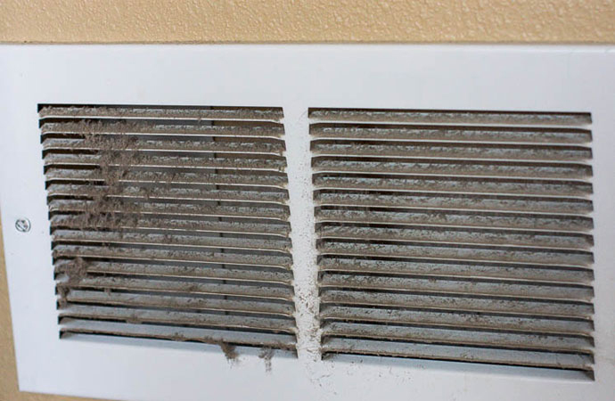 Why Is Pet Dander More Dangerous in Air Ducts